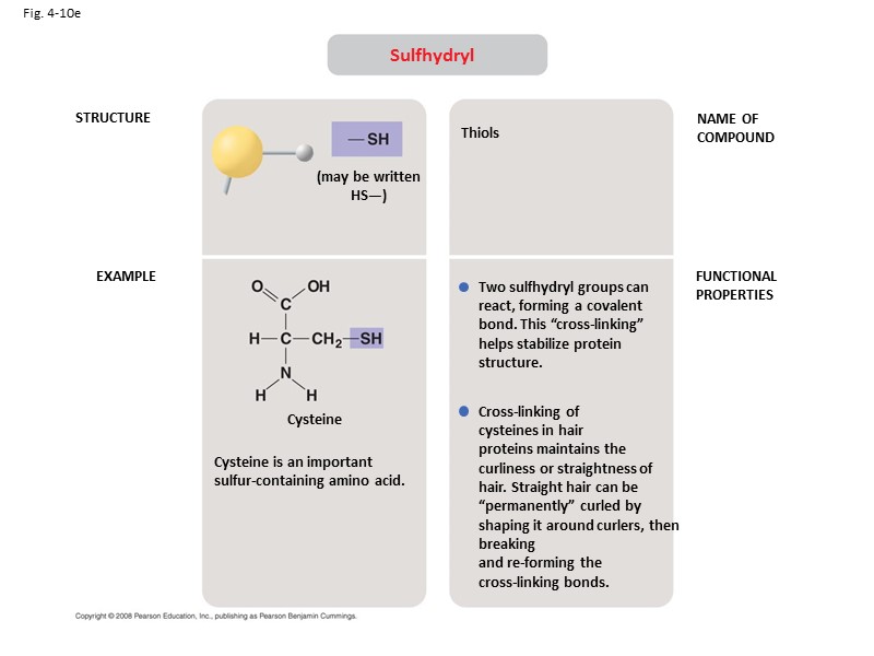 Fig. 4-10e STRUCTURE EXAMPLE NAME OF COMPOUND FUNCTIONAL PROPERTIES Sulfhydryl (may be written HS—)